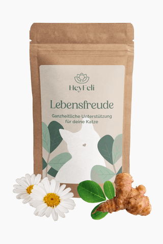 Lebensfreude