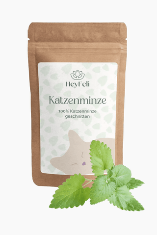 Katzenminze