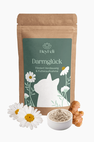 Darmglück