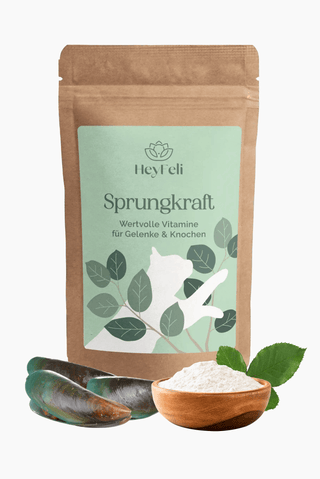 Sprungkraft