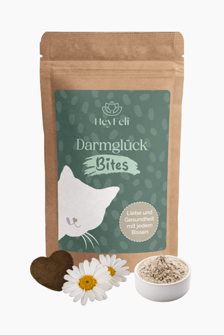 Darmglück Bites