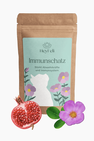 Immunschatz