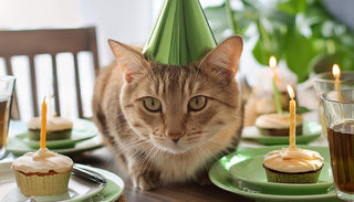 Die besten Geburtstagssprüche mit Katzen: Purr-fekte Grüße für jeden Anlass