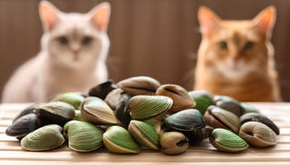 Das Geheimnis des Grünlippmuschelpulvers: Anwendung, Vorteile und spannende Fakten für Katzen