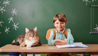 Katzen-Steckbrief für Kinder